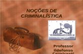 NOÇÕES DE CRIMINALÍSTICA Professor Ildefonso Cavalcanti.