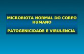 MICROBIOTA NORMAL DO CORPO HUMANO PATOGENICIDADE E VIRULÊNCIA.