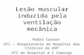 Lesão muscular induzida pela ventilação mecânica Pedro Caruso UTI – Respiratória do Hospital das Clínicas da USP UTI do Hospital A C Camargo.