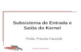Sistemas Operacionais1 Subsistema de Entrada e Saída do Kernel Profa. Priscila Facciolli.