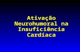 Ativação Neurohumoral na Insuficiência Cardíaca.