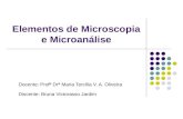 Elementos de Microscopia e Microanálise Docente: Profª Drª Maria Tercília V. A. Oliveira Discente: Bruna Victorasso Jardim.