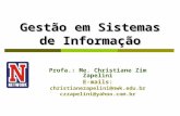 Gestão em Sistemas de Informação Profa.: Me. Christiane Zim Zapelini E-mails: christianezapelini@nwk.edu.br czzapelini@yahoo.com.br.