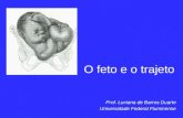 O feto e o trajeto Prof. Luciana de Barros Duarte Universidade Federal Fluminense.