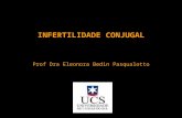 INFERTILIDADE CONJUGAL Prof Dra Eleonora Bedin Pasqualotto.