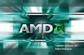 Trabalho realizado por: Pedro Rodrigues. INTRODUÇÃO Neste trabalho vou explicar a evolução dos processadores AMD.