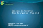 Professor Esp. Diego Andr© Santâ€™Ana Disciplina: Sistemas Operacionais II Sistemas de Arquivos- Tipo de arquivos â€“ Cap 4.1.3 1