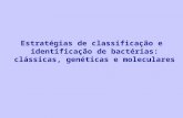 Estratégias de classificação e identificação de bactérias: clássicas, genéticas e moleculares.