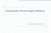 Visualização 3D de Imagens Médicas Leonardo Marques Rocha.