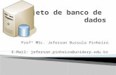 Profº MSc. Jeferson Bussula Pinheiro E-Mail: jeferson.pinheiro@uniderp.edu.br.