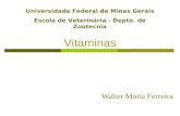 Vitaminas Walter Motta Ferreira Universidade Federal de Minas Gerais Escola de Veterinária - Depto. de Zootecnia.
