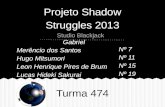 Projeto Shadow Struggles 2013 Gabriel Merêncio dos Santos Hugo Mitsumori Leon Henrique Pires de Brum Lucas Hideki Sakurai Nº 7 Nº 11 Nº 15 Nº 19 Turma.