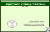 TROMBOSE VENOSA CEREBRAL Prof. Edison M. Nóvak Disciplina de Neurologia Departamento de Clínica Médica Universidade Federal do Paraná.