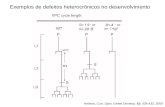 (Postdeirid neuroblast) Exemplos de defeitos heterocrônicos no desenvolvimento Ambros, Curr. Opin. Genet Develop. 10, 428-433, 2000 VPC lf G1 lin-4.