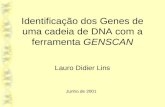 Identificação dos Genes de uma cadeia de DNA com a ferramenta GENSCAN Lauro Didier Lins Junho de 2001.