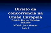 Direito da concorrência na União Europeia Patrícia Regina Pinheiro Sampaio Módulo Jean Monnet Aula 1.
