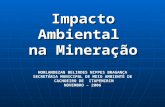 Impacto Ambiental na Mineração HORLANDEZAN BELIRDES NIPPES BRAGANÇA SECRETÁRIA MUNICIPAL DE MEIO AMBIENTE DE CACHOEIRO DE ITAPEMIRIM NOVEMBRO – 2006.