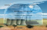 UNIVERSIDADE ESTADUAL PAULISTA “JULIO DE MESQUITA FILHO” IGCE- Instituto de Geociências e Ciências Exatas unesp Recursos Energéticos Sequestro de carbono.