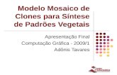 1 Modelo Mosaico de Clones para Síntese de Padrões Vegetais Apresentação Final Computação Gráfica - 2009/1 Adônis Tavares.