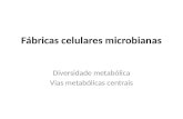 Fábricas celulares microbianas Diversidade metabólica Vias metabólicas centrais.