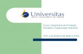 Curso: Engenharia de Produção Disciplina: Organização Industrial Prof. Luis Roberto de Mello e Pinto.