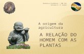 A RELAÇÃO DO HOMEM COM AS PLANTAS A origem da agricultura Botânica Econômica – IBB 342 Tatiana U. P. Konno.