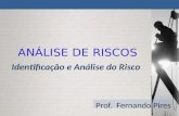 Identificação e Análise do Risco Prof. Fernando Pires ANÁLISE DE RISCOS.