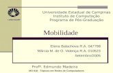 Mobilidade Elena Balachova R.A. 047798 Márcia M. de O. Valença R.A. 010523 Setembro/2005 Universidade Estadual de Campinas Instituto de Computação Programa.