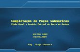Completação de Poços Submarinos Visão Geral e Cenário Pré-sal da Bacia de Santos SPETRO 2009 02/09/2009 Eng. Tiago Fonseca.