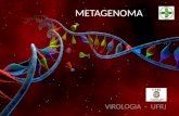 METAGENOMA VIROLOGIA - UFRJ. Metagenômica É a análise feita do genoma de uma comunidade de microrganismos,de um determinado ambiente, por técnicas modernas.