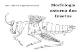 Morfologia externa dos insetos F. F. Pereira Objetivos instrucionais Ao final desta aula você será capaz de: Reconhecer as principais estruturas morfológicas.