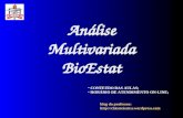 Análise Multivariada BioEstat blog do professor:  CONTEÚDO DAS AULAS; CONTEÚDO DAS AULAS; HORÁRIO DE ATENDIMENTO ON-LINE;