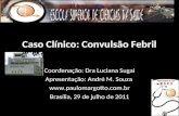 Caso Clínico: Convulsão Febril Coordenação: Dra Luciana Sugai Apresentação: André M. Souza  Brasília, 29 de julho de 2011.