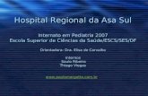 Hospital Regional da Asa Sul Internato em Pediatria 2007 Escola Superior de Ciências da Saúde/ESCS/SES/DF Orientadora: Dra. Elisa de Carvalho Internos.