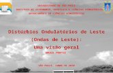 UNIVERSIDADE DE SÃO PAULO INSTITUTO DE ASTRONOMIA, GEOFÍSICA E CIÊNCIAS ATMOSFÉRICAS DEPARTAMENTO DE CIÊNCIAS ATMOSFÉRICAS Distúrbios Ondulatórios de Leste