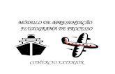MÓDULO DE APRESENTAÇÃO FLUXOGRAMA DE PROCESSO COMÉRCIO EXTERIOR.