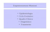 Esquistossomose Mansoni Epidemiologia Ciclo Evolutivo Quadro Clínico Diagnóstico Tratamento.