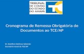 Cronograma de Remessa Obrigatória de Documentos ao TCE/AP Dr. Damilton Barbosa Salomão Secretário-Geral do TCE/AP.