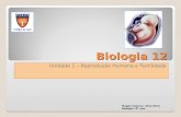 Biologia 12 Unidade 1 – Reprodução Humana e Fertilidade 1 Magda Charrua 2011/2012 Biologia 12º ano.