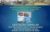 GESTAÇÃO GEMELAR Uma Abordagem para o Neonatologista  Brasília, 30 de outubro de 2014  HOSPITAL MATERNO.