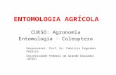ENTOMOLOGIA AGRÍCOLA CURSO: Agronomia Entomologia - Coleoptera Responsável: Prof. Dr. Fabricio Fagundes Pereira Universidade Federal da Grande Dourados.