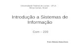 Introdução a Sistemas de Informação Com – 220 Prof. Rêmulo Maia Alves Universidade Federal de Lavras - UFLA Minas Gerais, Brasil.