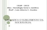 CEAP – 2013 Disc.: Sociologia Geral e Jurídica Profº.: Luiz Alberto C. Guedes.