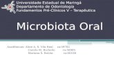 Universidade Estadual de Maringá Departamento de Odontologia Fundamentos Pré-Clínicos V – Terapêutica Microbiota Oral Acadêmicas: Aline A. S. Vila Real.