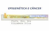 EPIGENÉTICA E CÂNCER Profa. Dra. Ana Elizabete Silva.