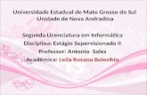 Universidade Estadual de Mato Grosso do Sul Unidade de Nova Andradina Segunda Licenciatura em Informática Disciplina: Estágio Supervisionado II Professor: