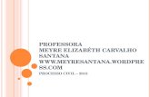 P ROFESSORA MEYRE ELIZABÉTH CARVALHO SANTANA WWW. MEYRESANTANA. WORDPRESS. COM PROCESSO CIVIL – 2013.