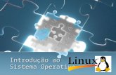 Introdução ao Sistema Operativo. Conceitos Básicos Para podermos abordar o Linux enquanto Sistema Operativo é necessário primeiro responder a uma questão.