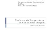 Mudança da Temperatura de Cor de uma Imagem Hildebrando Trannin Fundamentos de Computação Gráfica Prof.: Marcelo Gattass.
