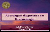 Abordagem diagnóstica em Dermatologia J.H. Duarte Correia F.M.V., U.T.L. F.M.V., U.T.L.